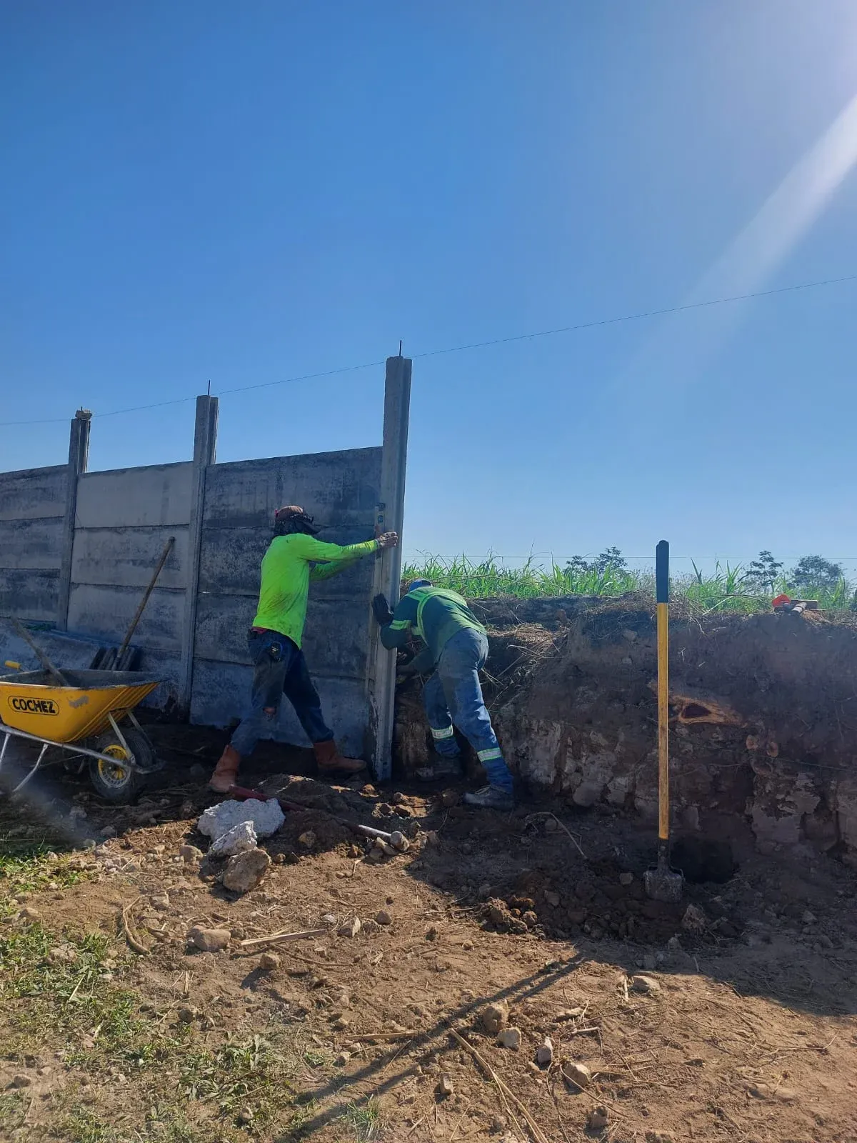 Operarios instalando muro perimetral con carretilla junto a campo de caña en zona agrícola