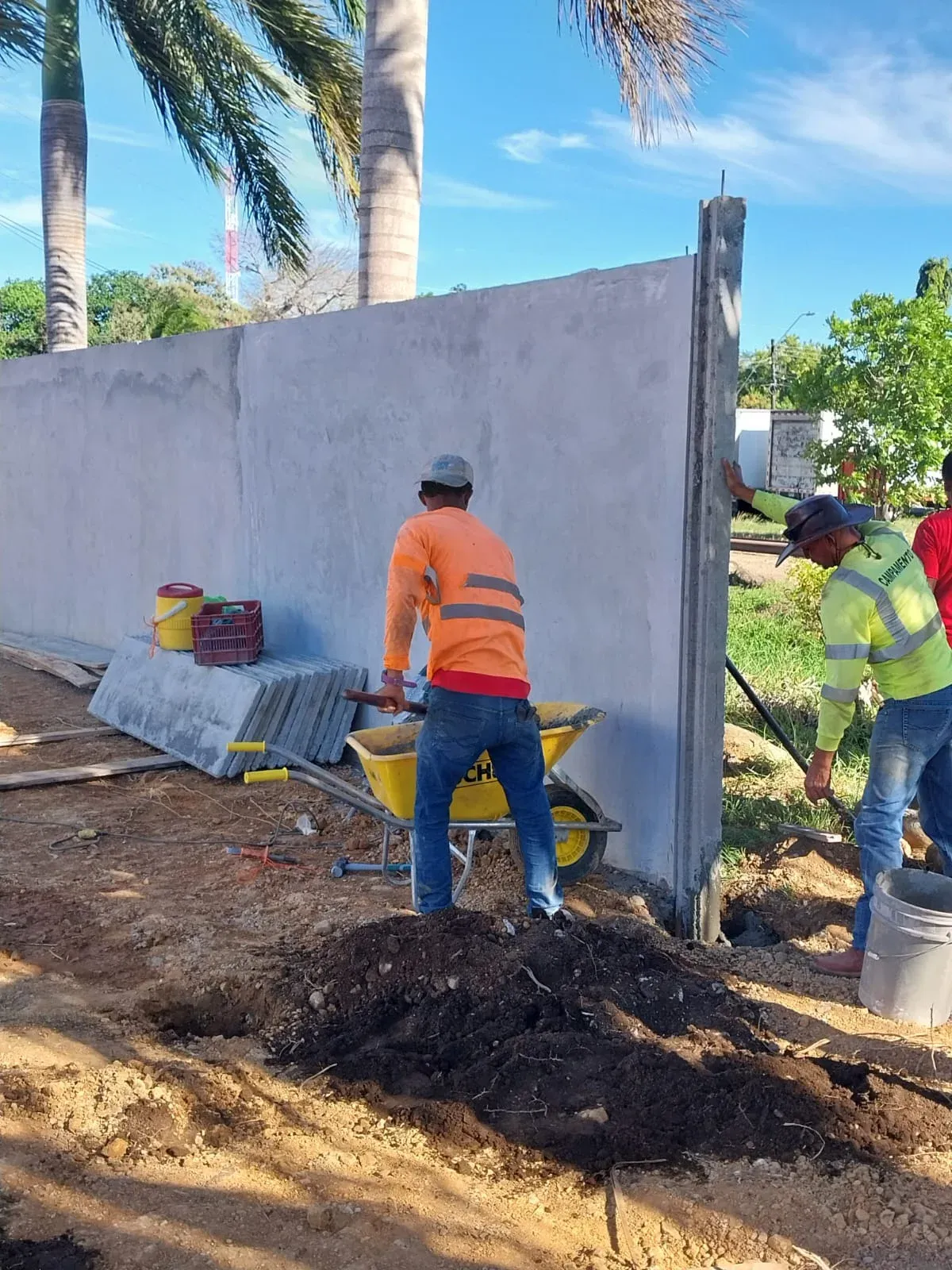 Cuadrilla con escalera instalando muro perimetral junto a vivienda con palmeras y luz natural
